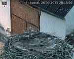 Capi_Dubne_20250826_201503.jpg