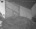 Capi_Dubne_20250826_203002.jpg