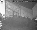 Capi_Dubne_20250826_220003.jpg