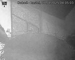 Capi_Dubne_20250827_040503.jpg