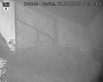 Capi_Dubne_20250827_041003.jpg