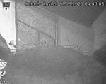 Capi_Dubne_20250827_044003.jpg