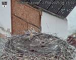 Capi_Dubne_20250827_061502.jpg