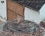 Capi_Dubne_20250827_062003.jpg