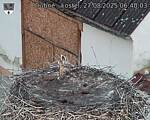 Capi_Dubne_20250827_064003.jpg