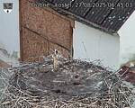 Capi_Dubne_20250827_064503.jpg