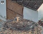 Capi_Dubne_20250827_070502.jpg