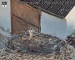 Capi_Dubne_20250827_071003.jpg