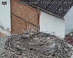 Capi_Dubne_20250827_074004.jpg