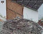 Capi_Dubne_20250827_081003.jpg