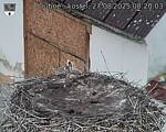 Capi_Dubne_20250827_082003.jpg
