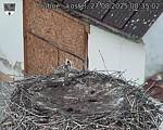 Capi_Dubne_20250827_083502.jpg