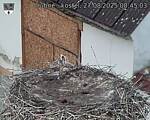 Capi_Dubne_20250827_084503.jpg