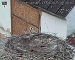 Capi_Dubne_20250827_090003.jpg