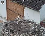 Capi_Dubne_20250827_093003.jpg