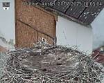 Capi_Dubne_20250827_100504.jpg
