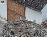 Capi_Dubne_20250827_101003.jpg