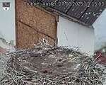 Capi_Dubne_20250827_101503.jpg