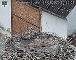 Capi_Dubne_20250827_102503.jpg