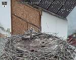 Capi_Dubne_20250827_103502.jpg