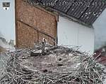 Capi_Dubne_20250827_104003.jpg