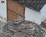 Capi_Dubne_20250827_110003.jpg