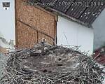 Capi_Dubne_20250827_112004.jpg