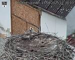 Capi_Dubne_20250827_113003.jpg