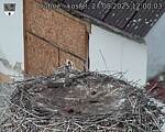 Capi_Dubne_20250827_120003.jpg