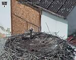 Capi_Dubne_20250827_125503.jpg