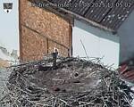 Capi_Dubne_20250827_130502.jpg