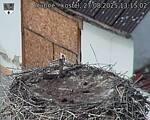 Capi_Dubne_20250827_131502.jpg