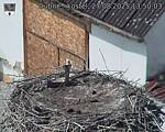 Capi_Dubne_20250827_135003.jpg