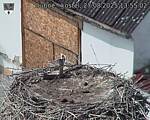 Capi_Dubne_20250827_135502.jpg