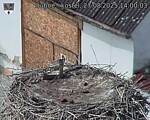 Capi_Dubne_20250827_140003.jpg