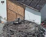 Capi_Dubne_20250827_140503.jpg