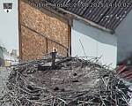 Capi_Dubne_20250827_141002.jpg