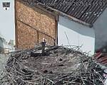 Capi_Dubne_20250827_141503.jpg
