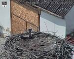Capi_Dubne_20250827_142503.jpg