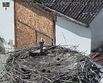 Capi_Dubne_20250827_143003.jpg