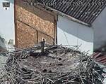 Capi_Dubne_20250827_150503.jpg