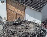 Capi_Dubne_20250827_152503.jpg
