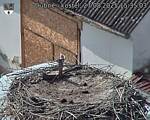 Capi_Dubne_20250827_153503.jpg