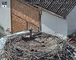 Capi_Dubne_20250827_154003.jpg