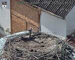 Capi_Dubne_20250827_154502.jpg