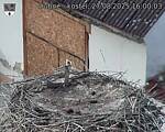 Capi_Dubne_20250827_160003.jpg