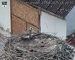 Capi_Dubne_20250827_162003.jpg