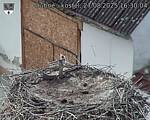 Capi_Dubne_20250827_163004.jpg