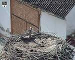 Capi_Dubne_20250827_163502.jpg