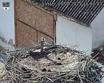 Capi_Dubne_20250827_164003.jpg